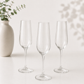 Champagne Glass 300ml F15