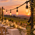 5m Festoon Outdoor String Light With End Connector