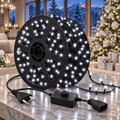 100m Led Black Wire Light with End Connector and Controller Box
