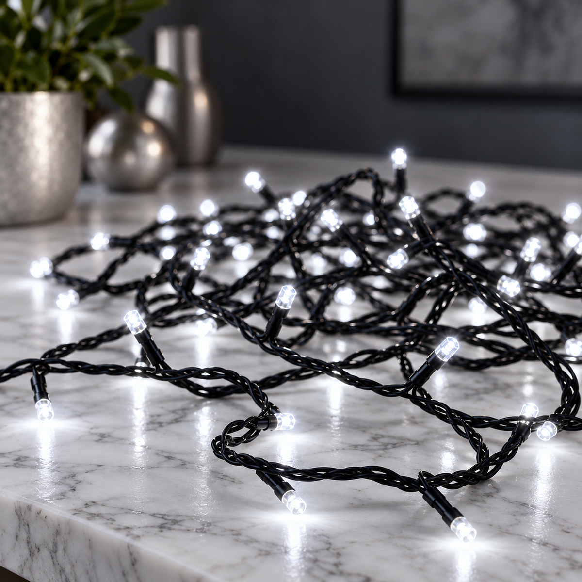 10m Led Black Wire Light with End Connector and Controller Box