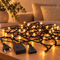 10m Led Black Wire Light with End Connector and Controller Box